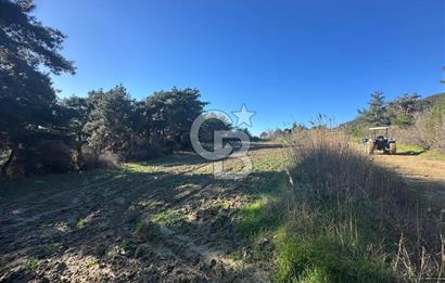 Gelibolu Burhanlı'da Kaçırılmayacak Arazi Fırsatı!-Acil Satılık.