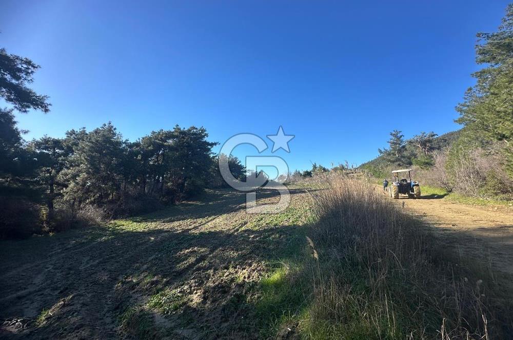 Gelibolu Burhanlı'da Kaçırılmayacak Arazi Fırsatı!-Acil Satılık.