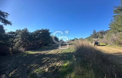 Gelibolu Burhanlı'da Kaçırılmayacak Arazi Fırsatı!-Acil Satılık.