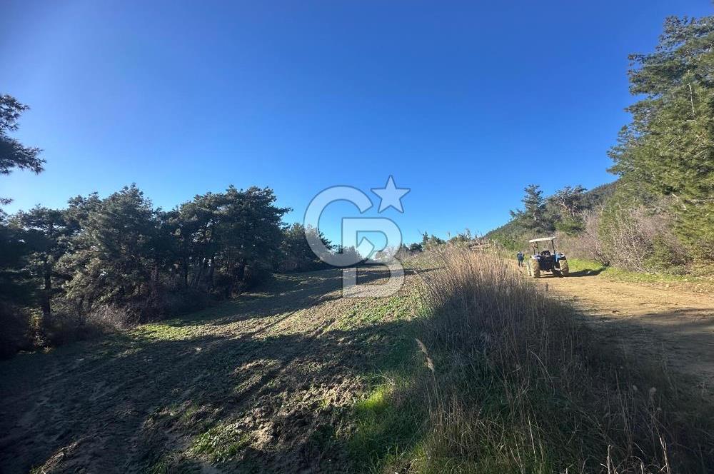 Gelibolu Burhanlı'da Kaçırılmayacak Arazi Fırsatı!-Acil Satılık.