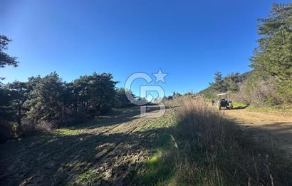 Gelibolu Burhanlı'da Kaçırılmayacak Arazi Fırsatı!-Acil Satılık.