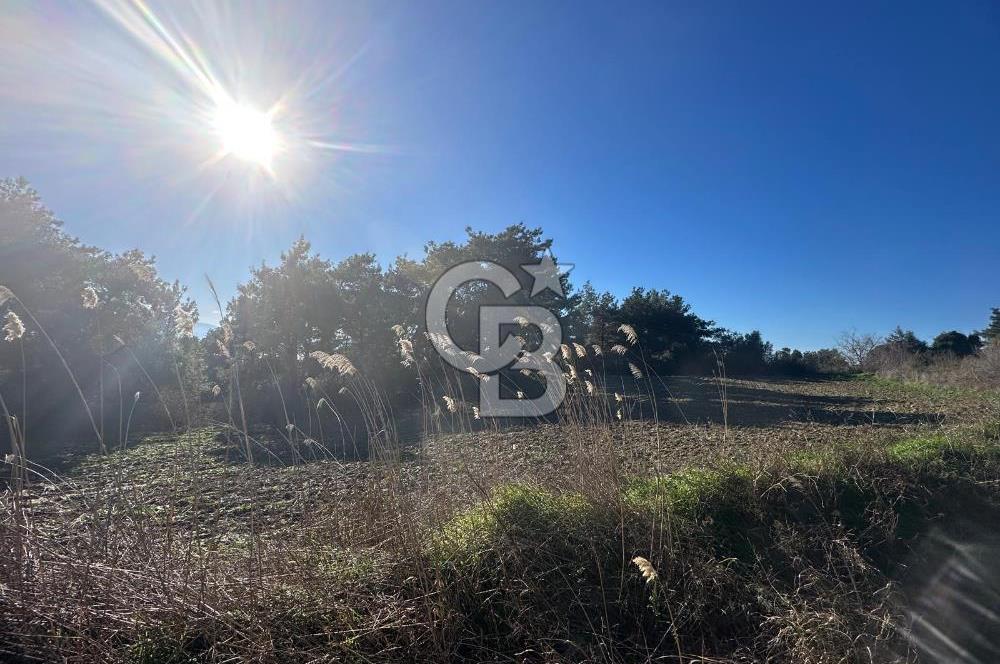 Gelibolu Burhanlı'da Kaçırılmayacak Arazi Fırsatı!-Acil Satılık.