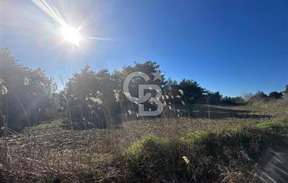 Gelibolu Burhanlı'da Kaçırılmayacak Arazi Fırsatı!-Acil Satılık.