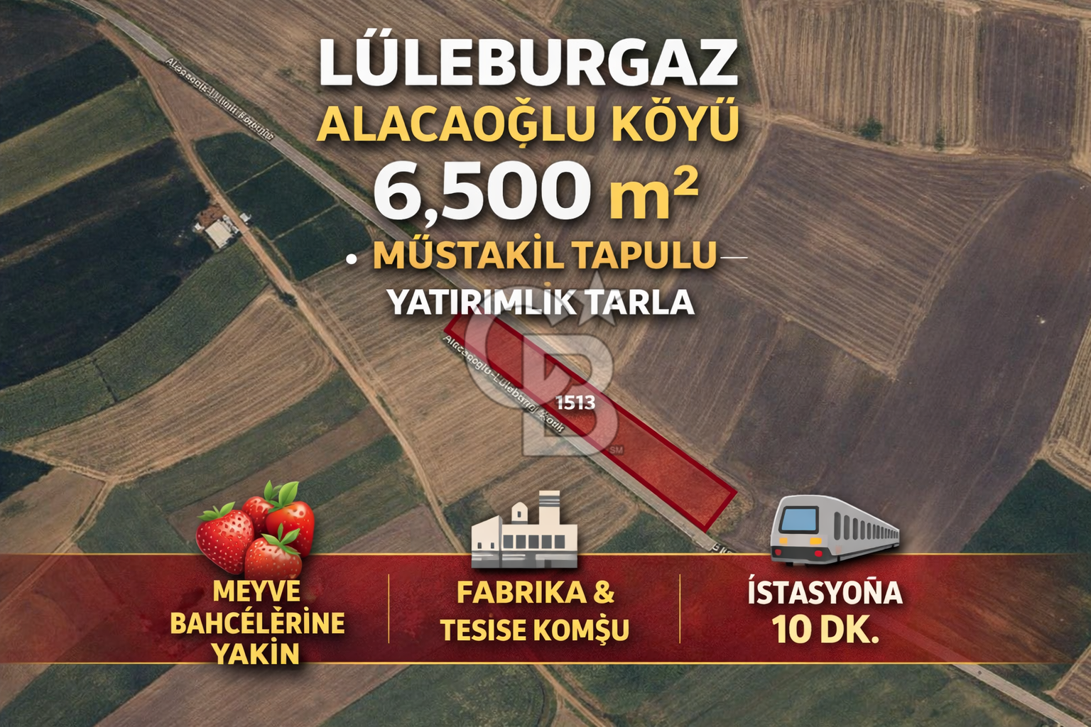 Merkeze Yakın 6.500 m² Tarla | Tarım & Yatırım İçin İdeal