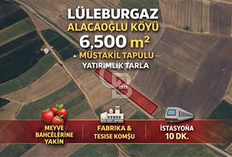 Merkeze Yakın 6.500 m² Tarla | Tarım & Yatırım İçin İdeal - 1 - 329930