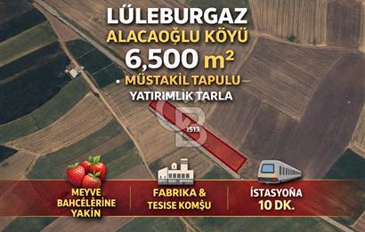 Merkeze Yakın 6.500 m² Tarla | Tarım & Yatırım İçin İdeal