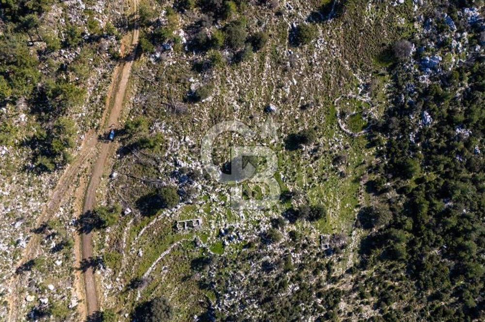 1295586318 CB MARİNA'DAN MARMARİS OSMANİYE KÖYÜ'NDE SATILIK 7 DÖNÜM TARLA 