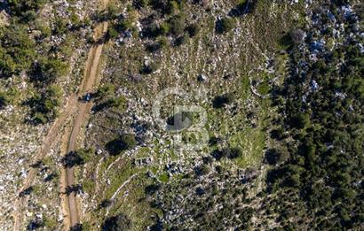 1295586318 CB MARİNA'DAN MARMARİS OSMANİYE KÖYÜ'NDE SATILIK 7 DÖNÜM TARLA 