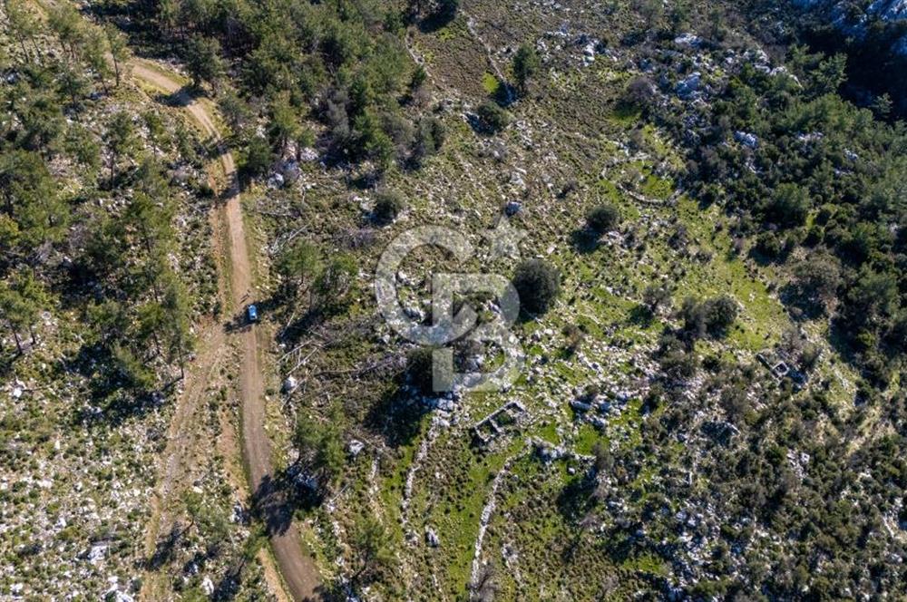 1295586318 CB MARİNA'DAN MARMARİS OSMANİYE KÖYÜ'NDE SATILIK 7 DÖNÜM TARLA 