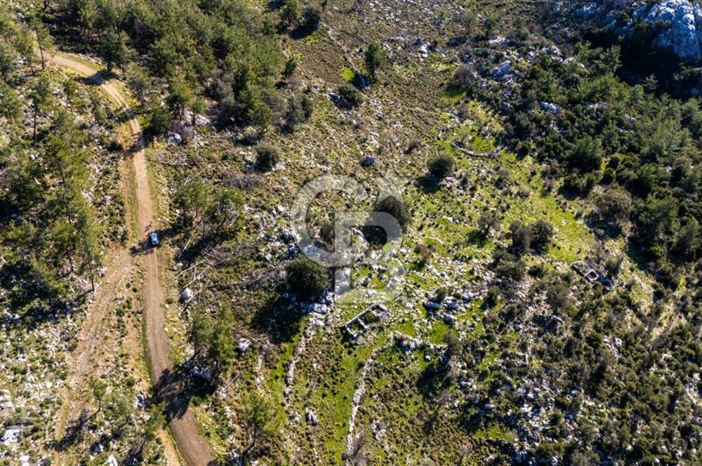 1295586318 CB MARİNA'DAN MARMARİS OSMANİYE KÖYÜ'NDE SATILIK 7 DÖNÜM TARLA 