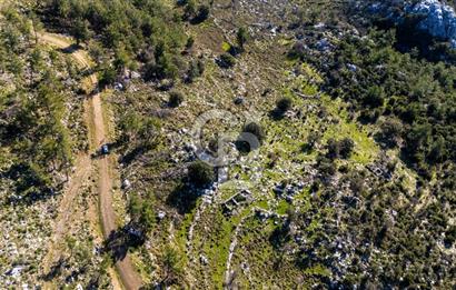 1295586318 CB MARİNA'DAN MARMARİS OSMANİYE KÖYÜ'NDE SATILIK 7 DÖNÜM TARLA 