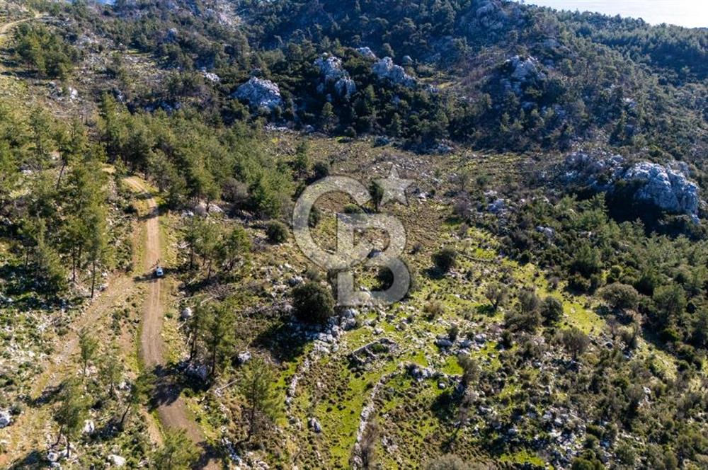 1295586318 CB MARİNA'DAN MARMARİS OSMANİYE KÖYÜ'NDE SATILIK 7 DÖNÜM TARLA 