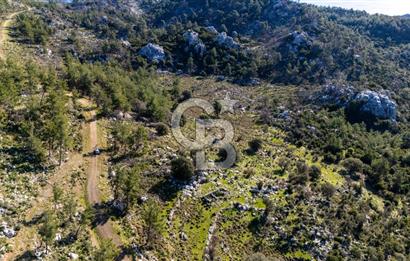 1295586318 CB MARİNA'DAN MARMARİS OSMANİYE KÖYÜ'NDE SATILIK 7 DÖNÜM TARLA 