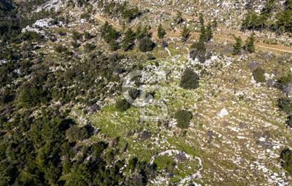 1295586318 CB MARİNA'DAN MARMARİS OSMANİYE KÖYÜ'NDE SATILIK 7 DÖNÜM TARLA 