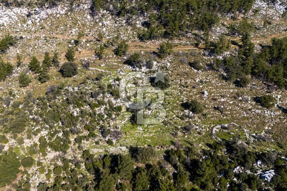 1295586318 CB MARİNA'DAN MARMARİS OSMANİYE KÖYÜ'NDE SATILIK 7 DÖNÜM TARLA 