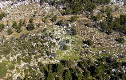 1295586318 CB MARİNA'DAN MARMARİS OSMANİYE KÖYÜ'NDE SATILIK 7 DÖNÜM TARLA 