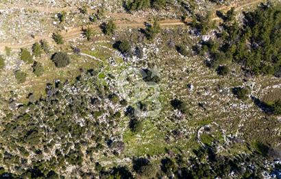 1295586318 CB MARİNA'DAN MARMARİS OSMANİYE KÖYÜ'NDE SATILIK 7 DÖNÜM TARLA 