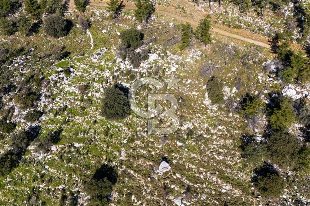 1295586318 CB MARİNA'DAN MARMARİS OSMANİYE KÖYÜ'NDE SATILIK 7 DÖNÜM TARLA 