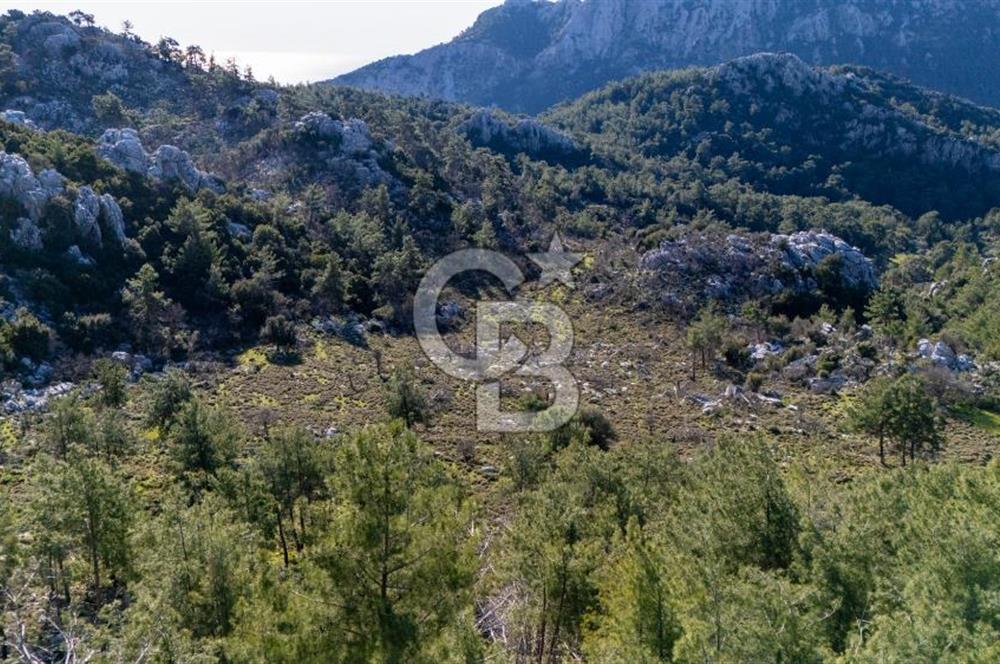 1295586318 CB MARİNA'DAN MARMARİS OSMANİYE KÖYÜ'NDE SATILIK 7 DÖNÜM TARLA 