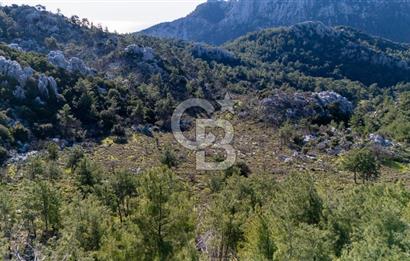 1295586318 CB MARİNA'DAN MARMARİS OSMANİYE KÖYÜ'NDE SATILIK 7 DÖNÜM TARLA 