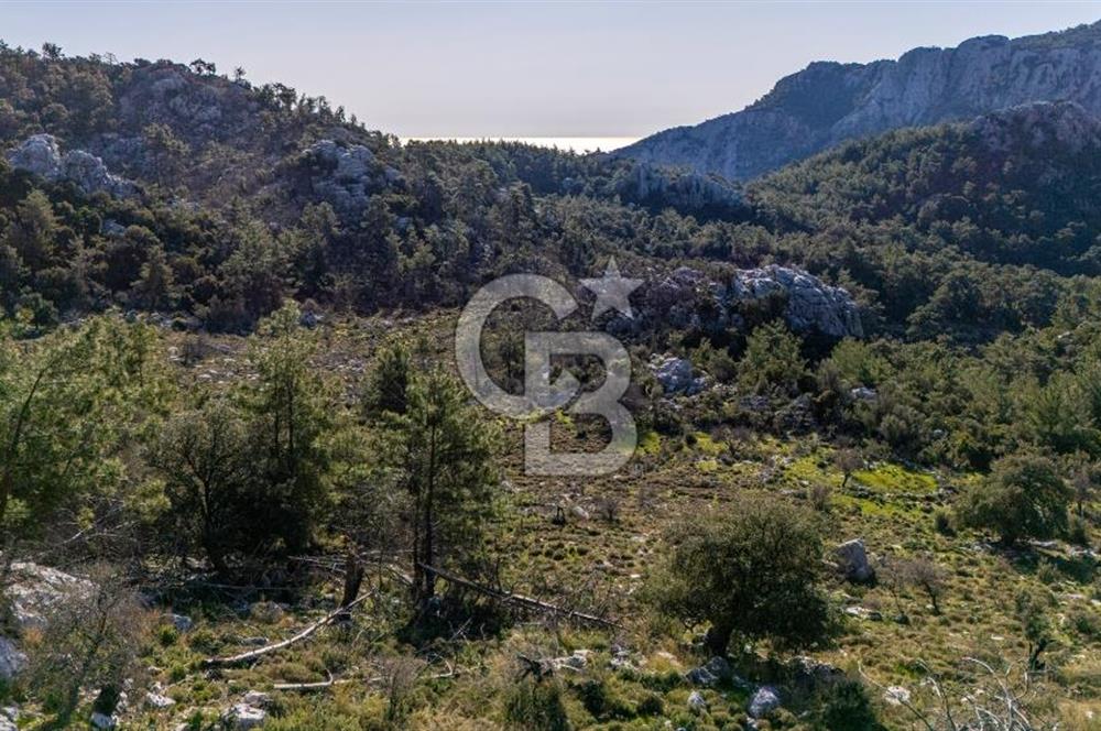 1295586318 CB MARİNA'DAN MARMARİS OSMANİYE KÖYÜ'NDE SATILIK 7 DÖNÜM TARLA 