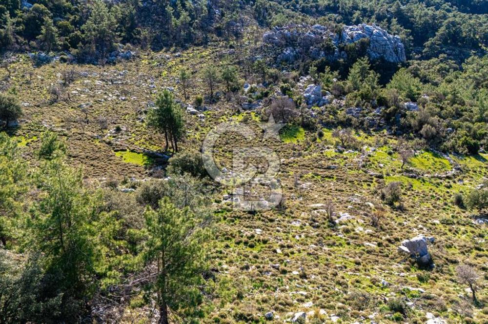 1295586318 CB MARİNA'DAN MARMARİS OSMANİYE KÖYÜ'NDE SATILIK 7 DÖNÜM TARLA 