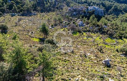 1295586318 CB MARİNA'DAN MARMARİS OSMANİYE KÖYÜ'NDE SATILIK 7 DÖNÜM TARLA 