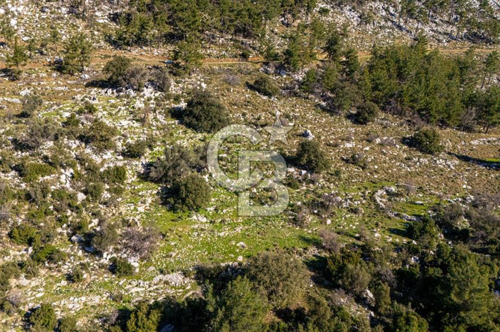 1295586318 CB MARİNA'DAN MARMARİS OSMANİYE KÖYÜ'NDE SATILIK 7 DÖNÜM TARLA 