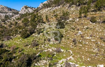 1295586318 CB MARİNA'DAN MARMARİS OSMANİYE KÖYÜ'NDE SATILIK 7 DÖNÜM TARLA 