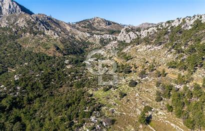 1295586318 CB MARİNA'DAN MARMARİS OSMANİYE KÖYÜ'NDE SATILIK 7 DÖNÜM TARLA 