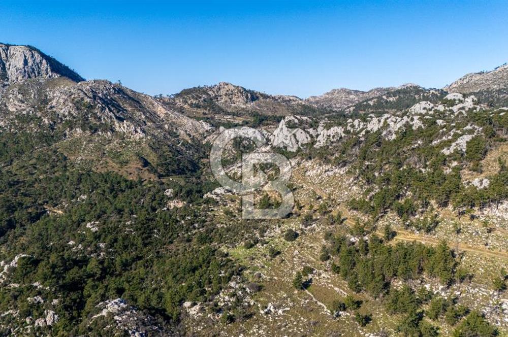 1295586318 CB MARİNA'DAN MARMARİS OSMANİYE KÖYÜ'NDE SATILIK 7 DÖNÜM TARLA 