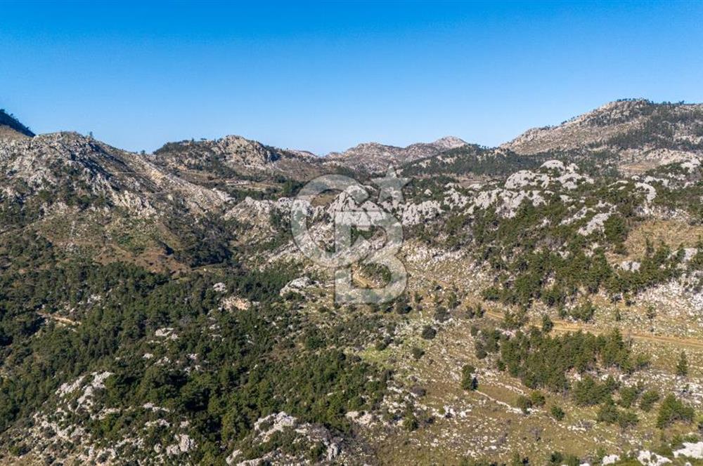 1295586318 CB MARİNA'DAN MARMARİS OSMANİYE KÖYÜ'NDE SATILIK 7 DÖNÜM TARLA 