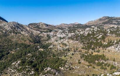 1295586318 CB MARİNA'DAN MARMARİS OSMANİYE KÖYÜ'NDE SATILIK 7 DÖNÜM TARLA 