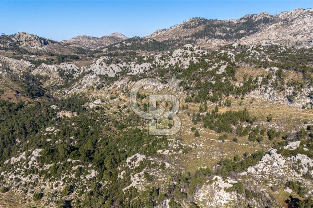 1295586318 CB MARİNA'DAN MARMARİS OSMANİYE KÖYÜ'NDE SATILIK 7 DÖNÜM TARLA 