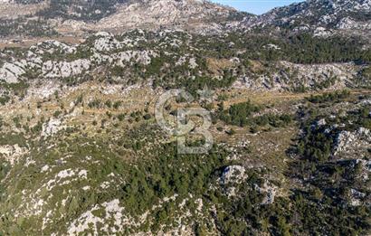 1295586318 CB MARİNA'DAN MARMARİS OSMANİYE KÖYÜ'NDE SATILIK 7 DÖNÜM TARLA 