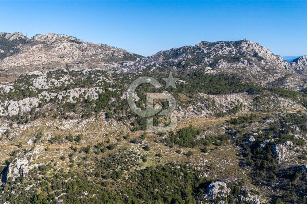 1295586318 CB MARİNA'DAN MARMARİS OSMANİYE KÖYÜ'NDE SATILIK 7 DÖNÜM TARLA 