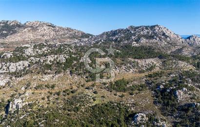 1295586318 CB MARİNA'DAN MARMARİS OSMANİYE KÖYÜ'NDE SATILIK 7 DÖNÜM TARLA 