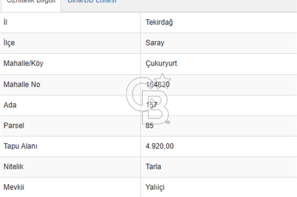 Yola Cepheli, Köy Yerleşimine Komşu Nadir Yatırım Fırsatı!