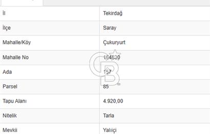 Yola Cepheli, Köy Yerleşimine Komşu Nadir Yatırım Fırsatı!