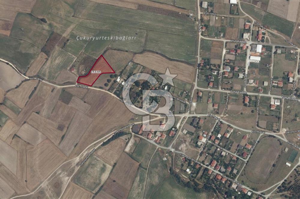 Yola Cepheli, Köy Yerleşimine Komşu Nadir Yatırım Fırsatı!