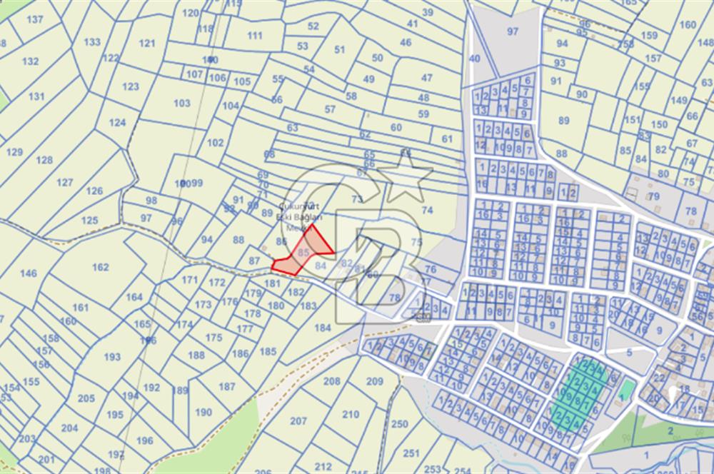 Yola Cepheli, Köy Yerleşimine Komşu Nadir Yatırım Fırsatı!