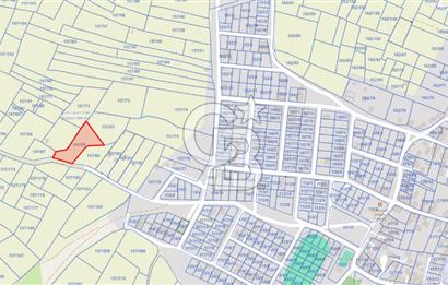 Yola Cepheli, Köy Yerleşimine Komşu Nadir Yatırım Fırsatı!