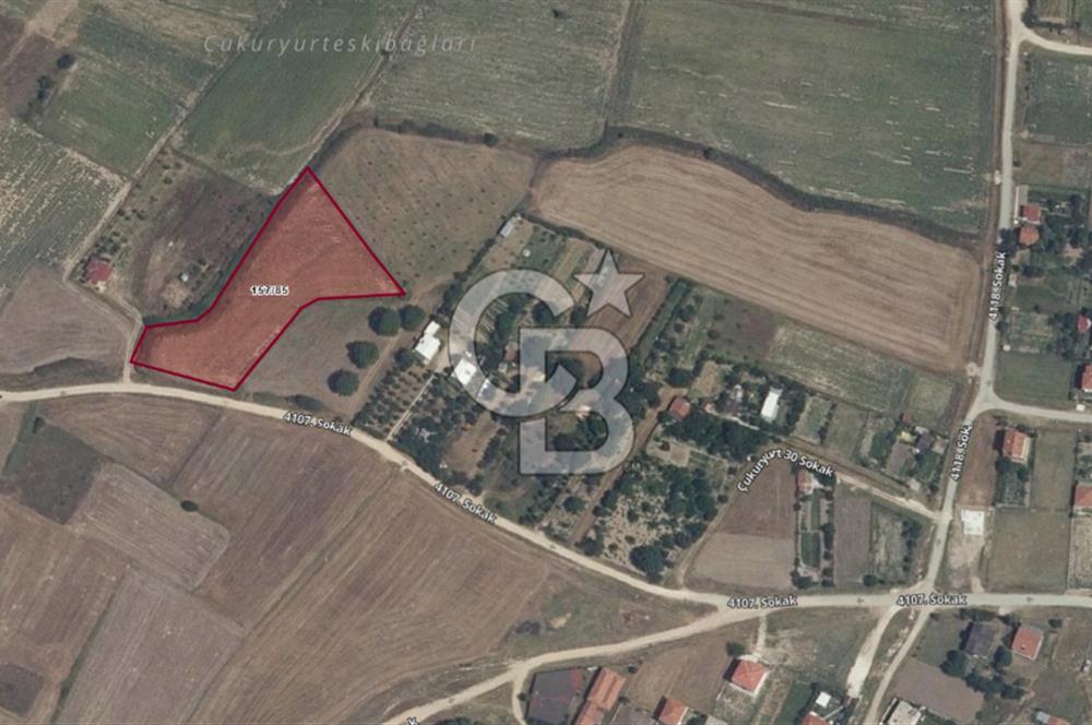 Yola Cepheli, Köy Yerleşimine Komşu Nadir Yatırım Fırsatı!