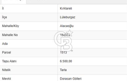 Merkeze Yakın 6.500 m² Tarla | Tarım & Yatırım İçin İdeal