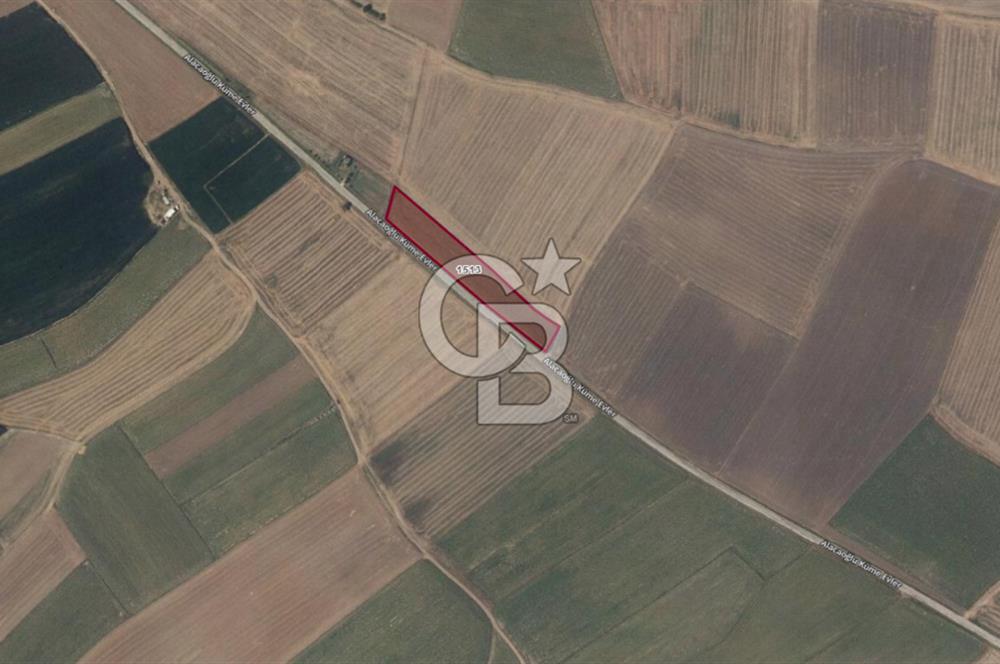 Merkeze Yakın 6.500 m² Tarla | Tarım & Yatırım İçin İdeal