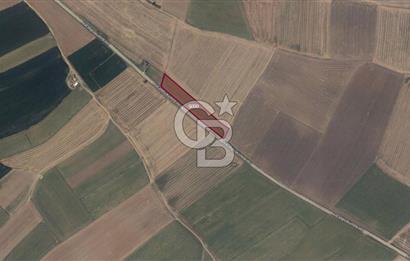 Merkeze Yakın 6.500 m² Tarla | Tarım & Yatırım İçin İdeal
