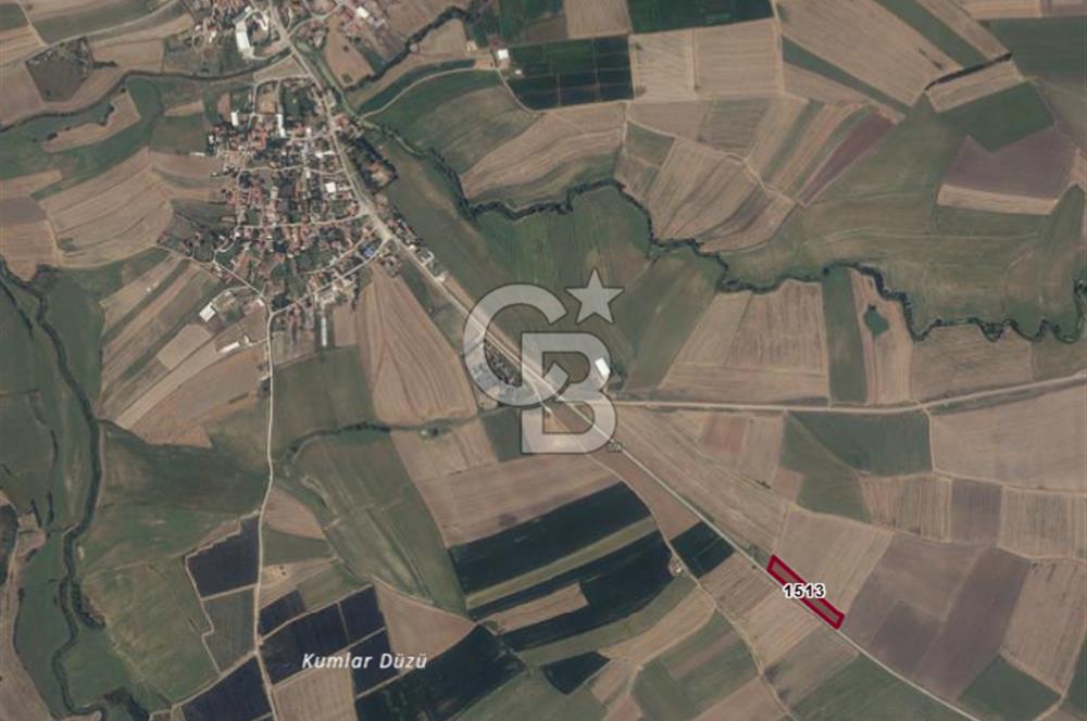 Merkeze Yakın 6.500 m² Tarla | Tarım & Yatırım İçin İdeal