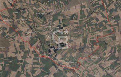 Merkeze Yakın 6.500 m² Tarla | Tarım & Yatırım İçin İdeal