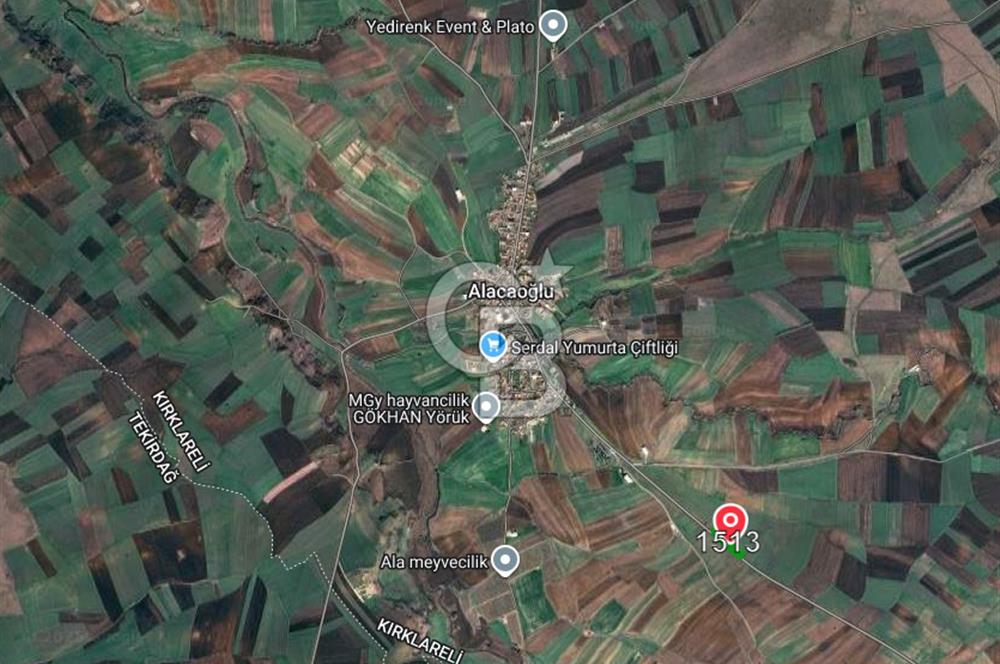 Merkeze Yakın 6.500 m² Tarla | Tarım & Yatırım İçin İdeal