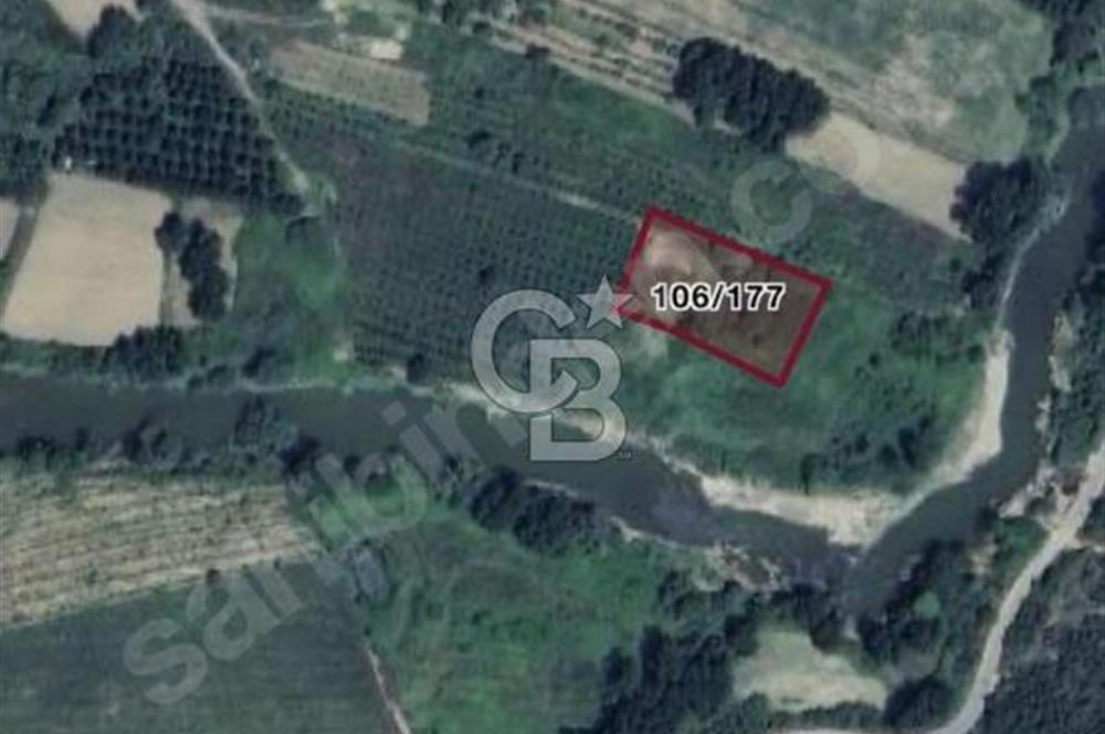 Cb MAHALL,DEN KOCAALİ BEZİRGAN.da VERİMLİ MUTLAK TARIM ALANI